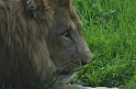 Kids_DZoo_Safari-I (83)